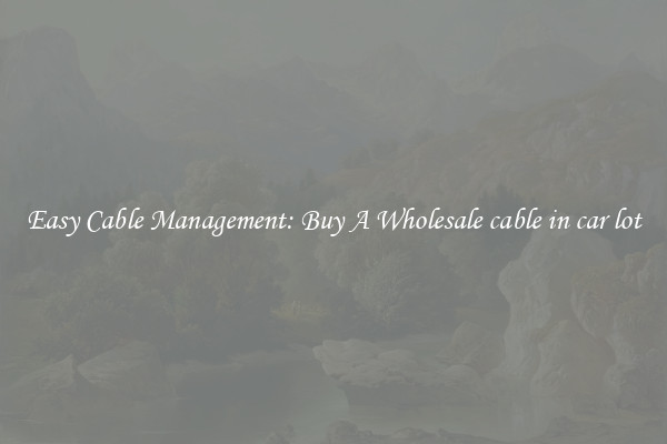 Easy Cable Management: Buy A Wholesale cable in car lot