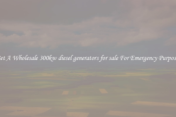 Get A Wholesale 300kw diesel generators for sale For Emergency Purposes