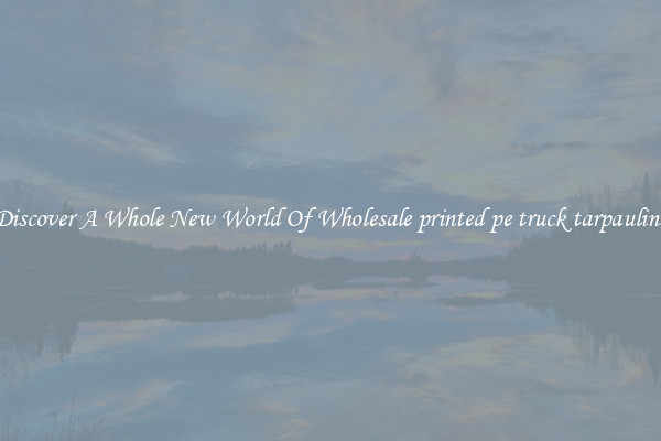 Discover A Whole New World Of Wholesale printed pe truck tarpaulins