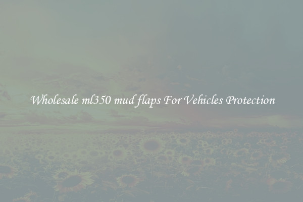 Wholesale ml350 mud flaps For Vehicles Protection