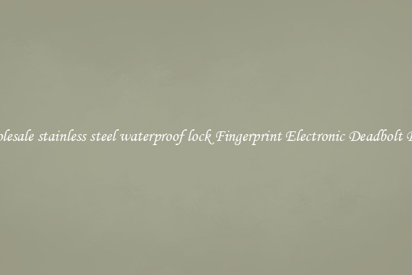 Wholesale stainless steel waterproof lock Fingerprint Electronic Deadbolt Door 