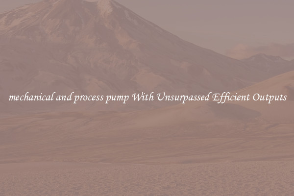 mechanical and process pump With Unsurpassed Efficient Outputs