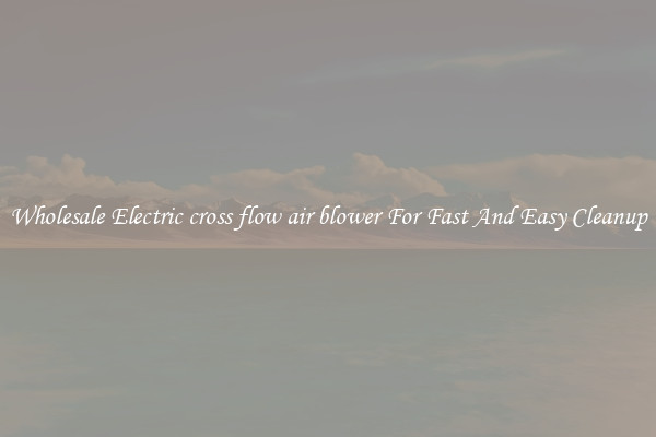 Wholesale Electric cross flow air blower For Fast And Easy Cleanup