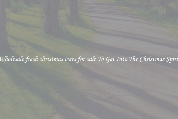 Wholesale fresh christmas trees for sale To Get Into The Christmas Spirit