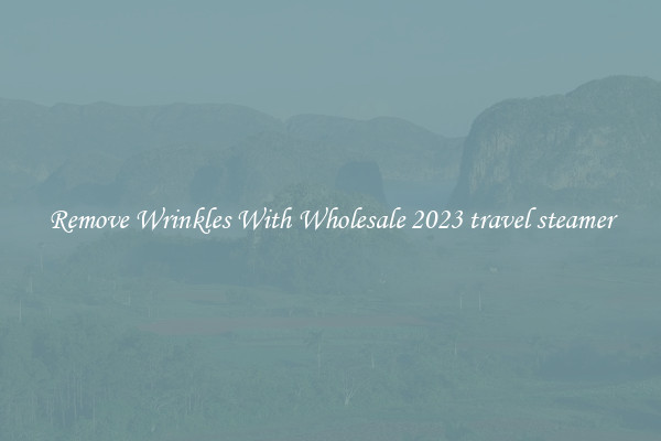Remove Wrinkles With Wholesale 2023 travel steamer