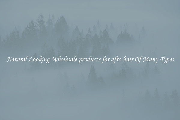 Natural Looking Wholesale products for afro hair Of Many Types