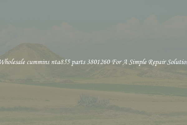 Wholesale cummins nta855 parts 3801260 For A Simple Repair Solution
