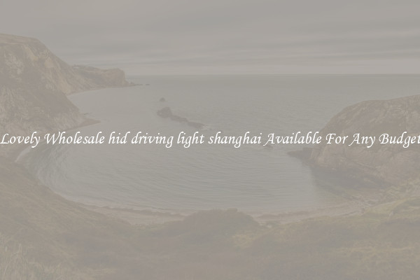 Lovely Wholesale hid driving light shanghai Available For Any Budget