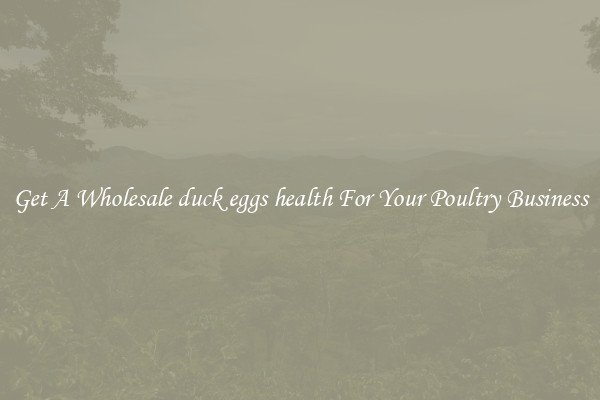 Get A Wholesale duck eggs health For Your Poultry Business