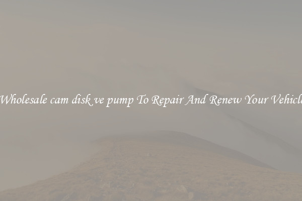 Wholesale cam disk ve pump To Repair And Renew Your Vehicle