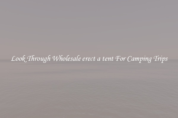 Look Through Wholesale erect a tent For Camping Trips