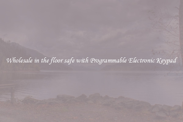 Wholesale in the floor safe with Programmable Electronic Keypad 