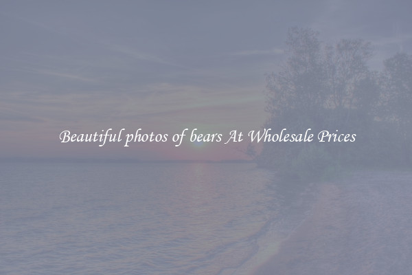 Beautiful photos of bears At Wholesale Prices