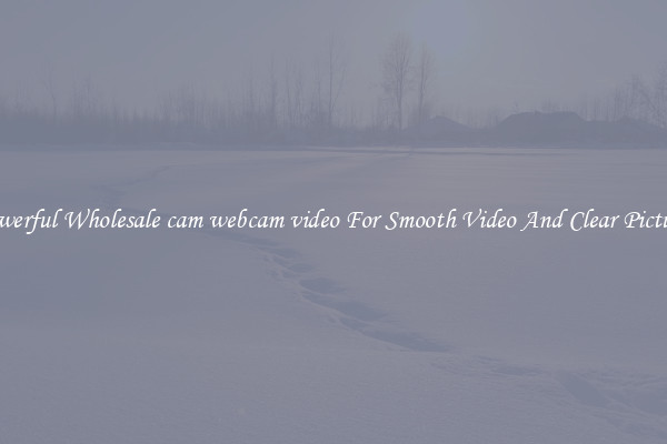 Powerful Wholesale cam webcam video For Smooth Video And Clear Pictures