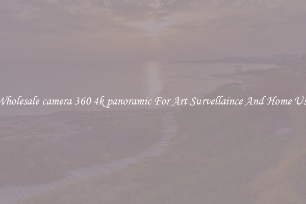 Wholesale camera 360 4k panoramic For Art Survellaince And Home Use