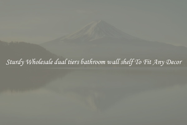 Sturdy Wholesale dual tiers bathroom wall shelf To Fit Any Decor