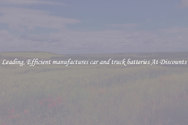 Leading, Efficient manufactures car and truck batteries At Discounts