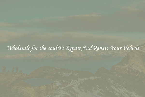 Wholesale for the soul To Repair And Renew Your Vehicle
